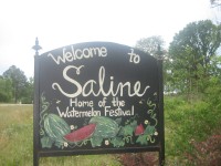 View of Saline