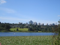 Metrotown area, seen from Burnaby's Deer Lake