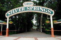 View of Silver Springs