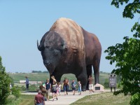 World's Largest Buffalo Monument in Jamestown