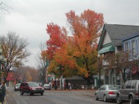 Sewickley during Autumn