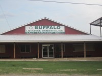 View of Buffalo