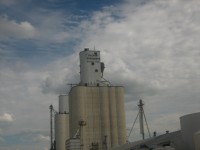 Dalhart Consumers grain elevator, 2008