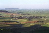 View of Farmington